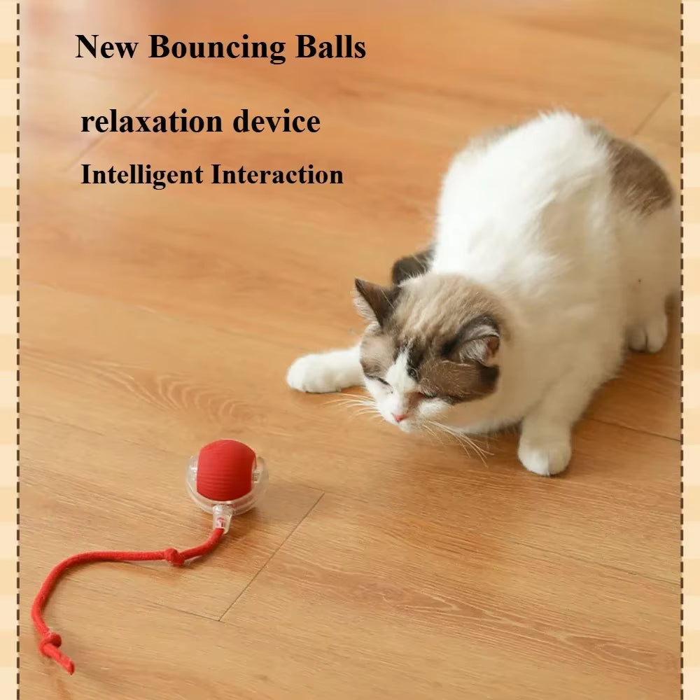 Interactive Rolling Tail Ball for Cats