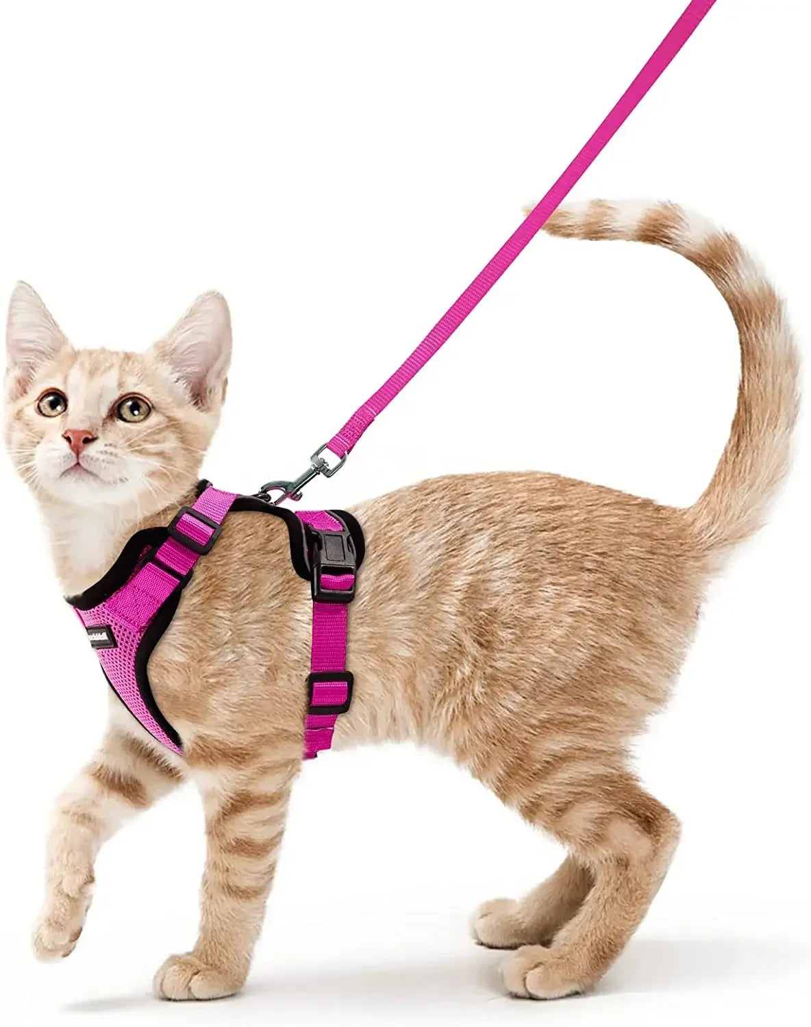 Escape-Proof Cat Harness & Leash Set