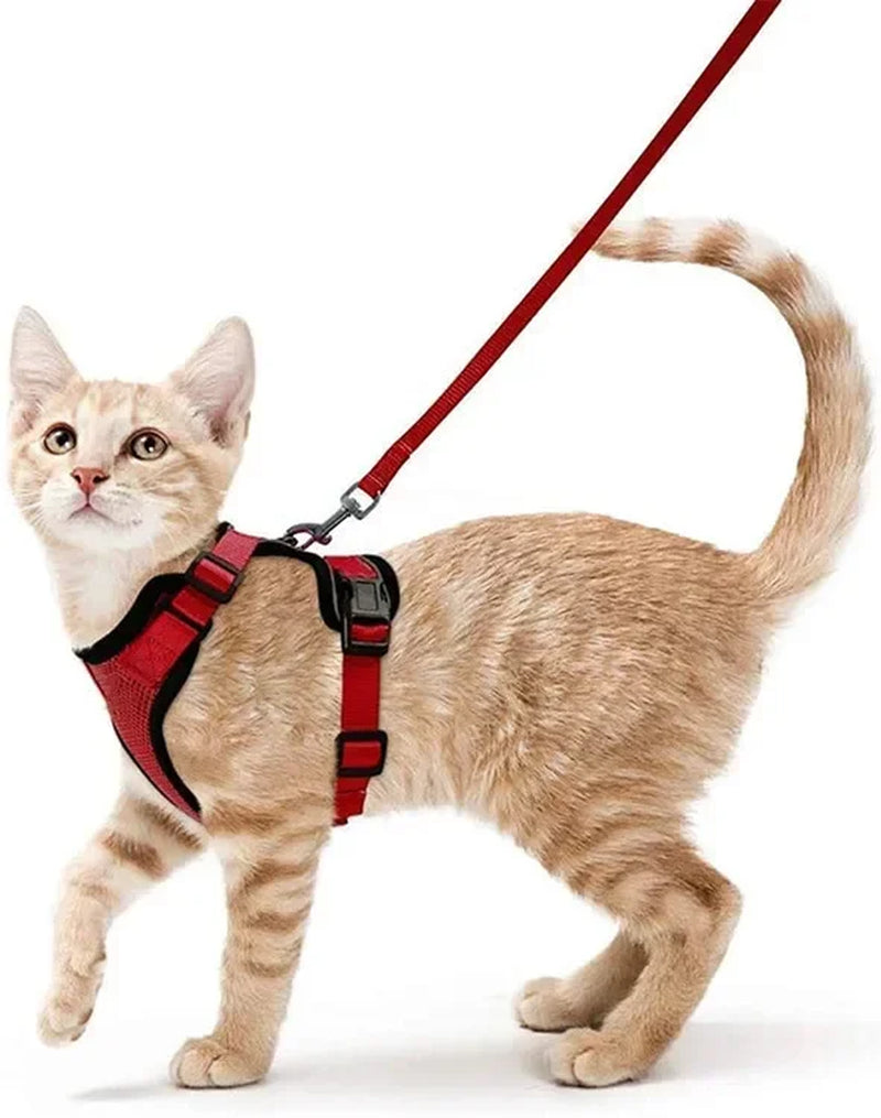 Escape-Proof Cat Harness & Leash Set