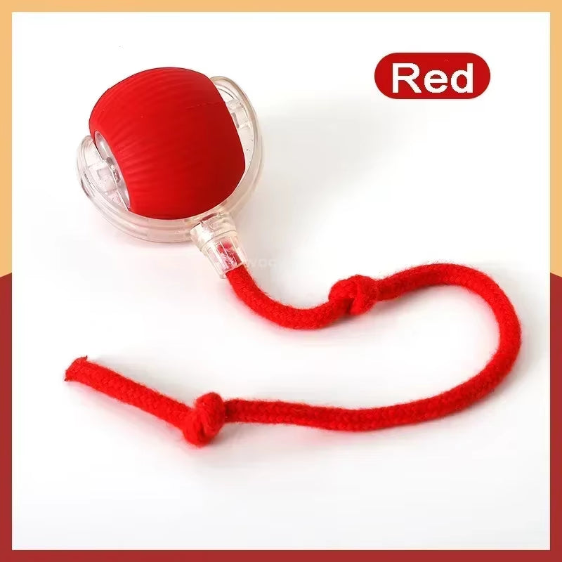 Interactive Rolling Tail Ball for Cats