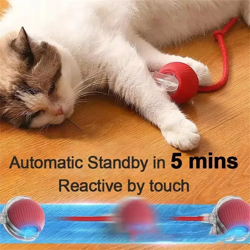 Interactive Rolling Tail Ball for Cats