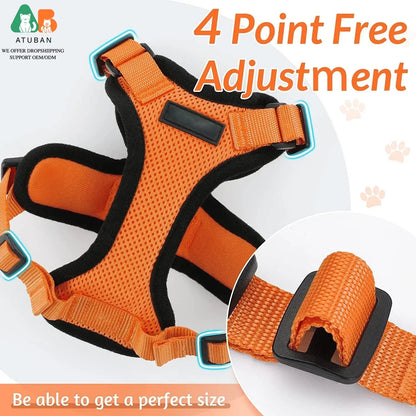 Escape-Proof Cat Harness & Leash Set