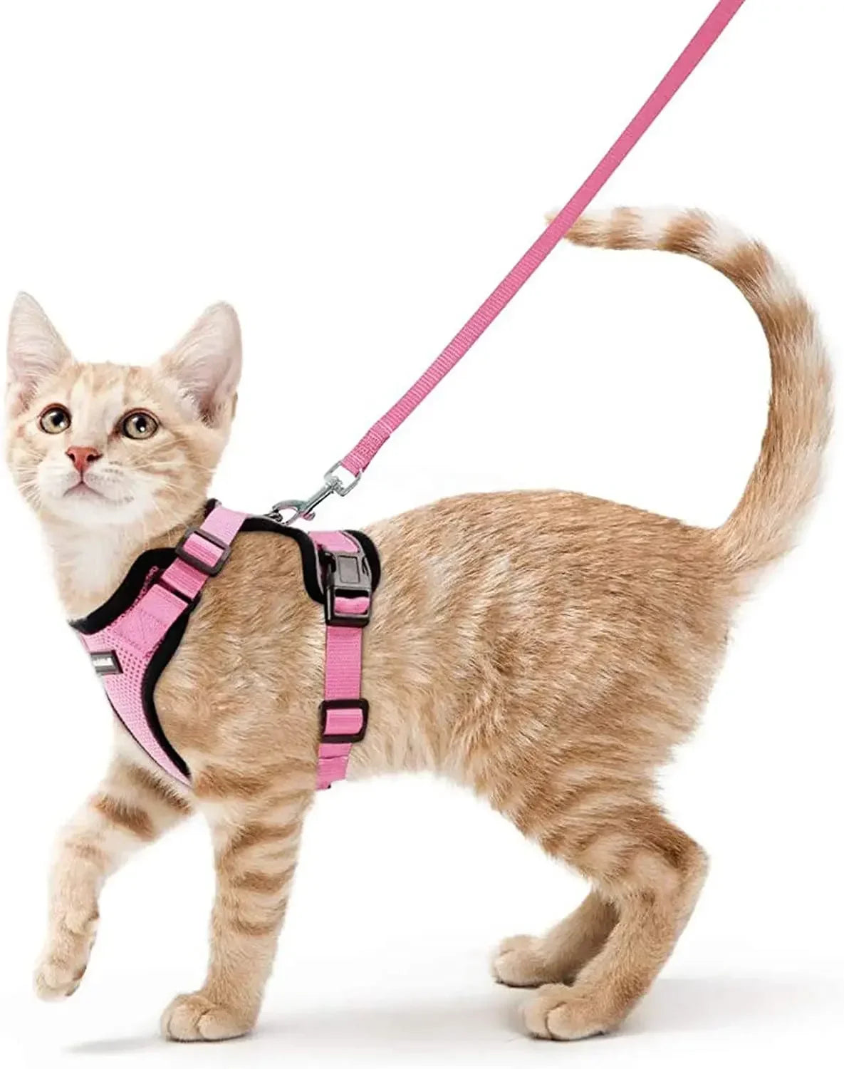 Escape-Proof Cat Harness & Leash Set