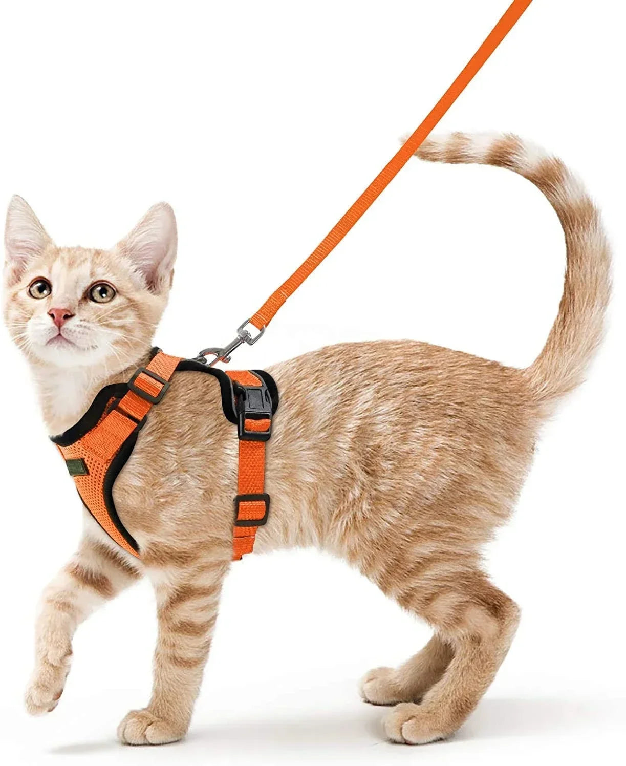 Escape-Proof Cat Harness & Leash Set