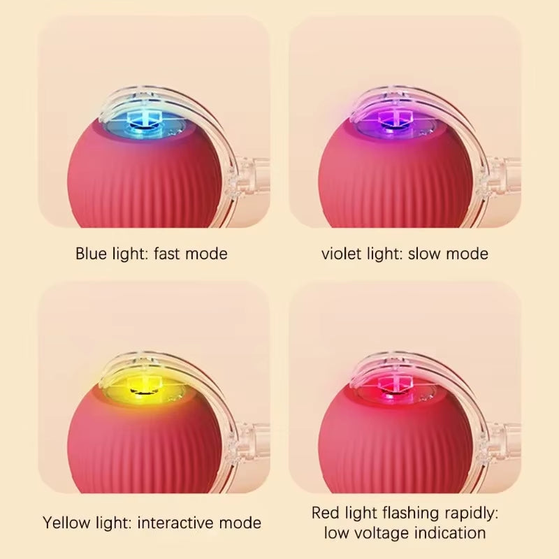 Interactive Rolling Tail Ball for Cats