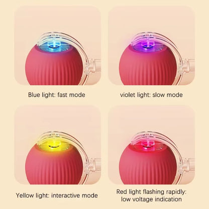 Interactive Rolling Tail Ball for Cats