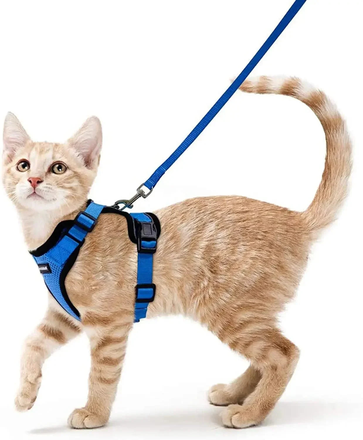 Escape-Proof Cat Harness & Leash Set