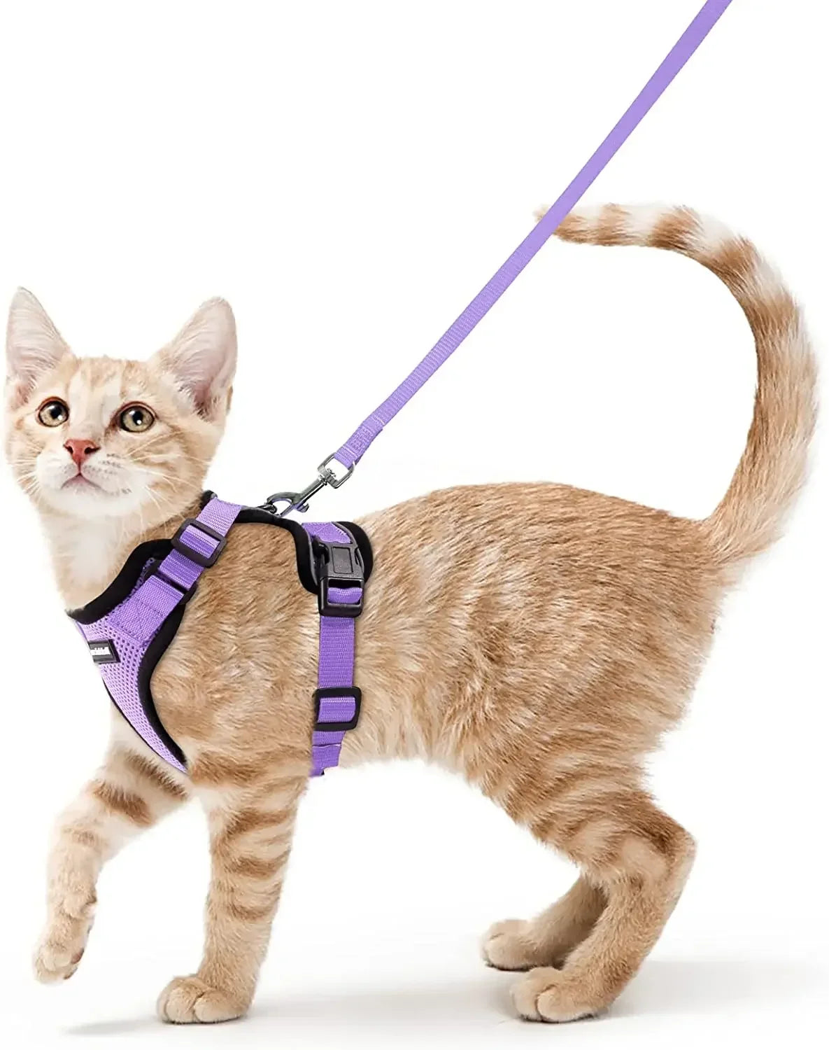 Escape-Proof Cat Harness & Leash Set