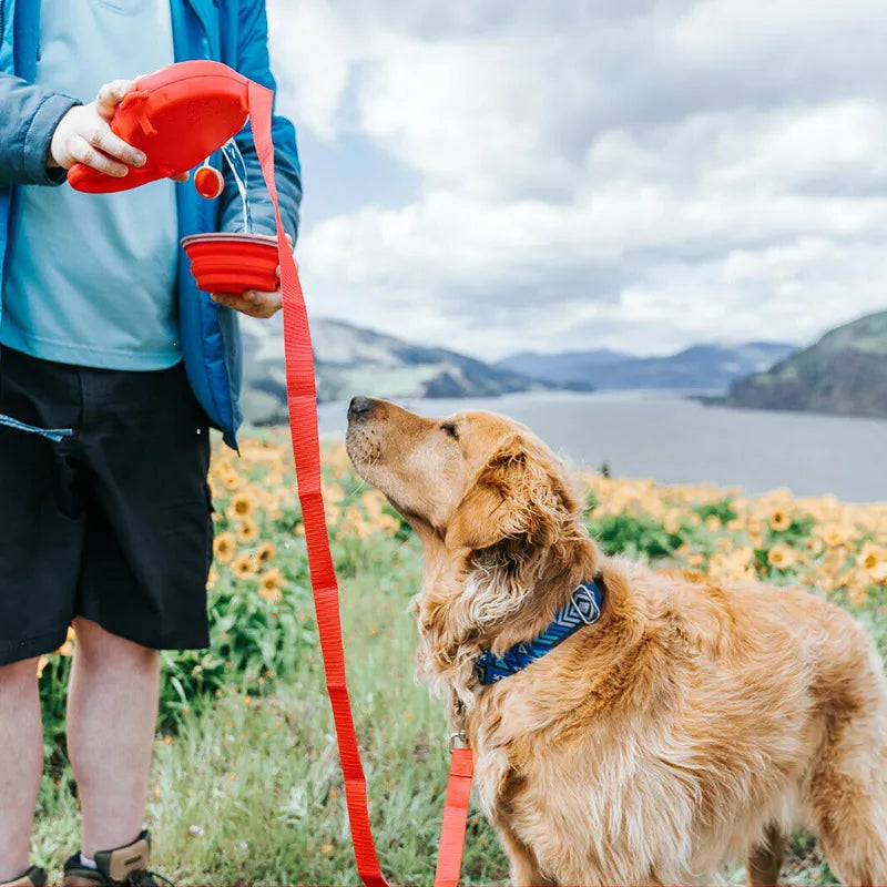 4-in-1 Dog Leash with Water Bottle & Waste Bag Holder