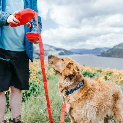 4-in-1 Dog Leash with Water Bottle & Waste Bag Holder
