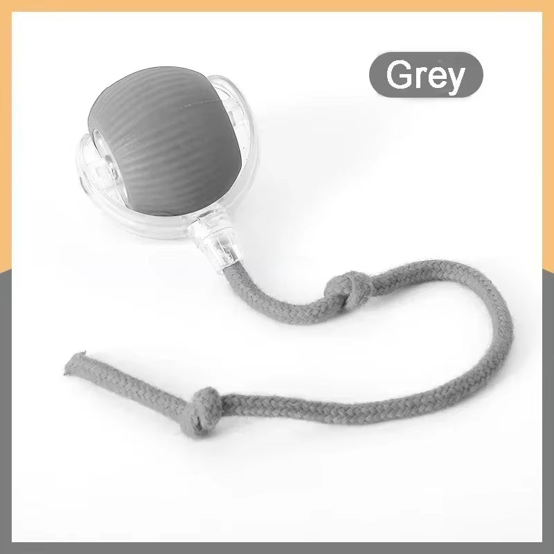 Interactive Rolling Tail Ball for Cats