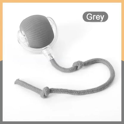 Interactive Rolling Tail Ball for Cats