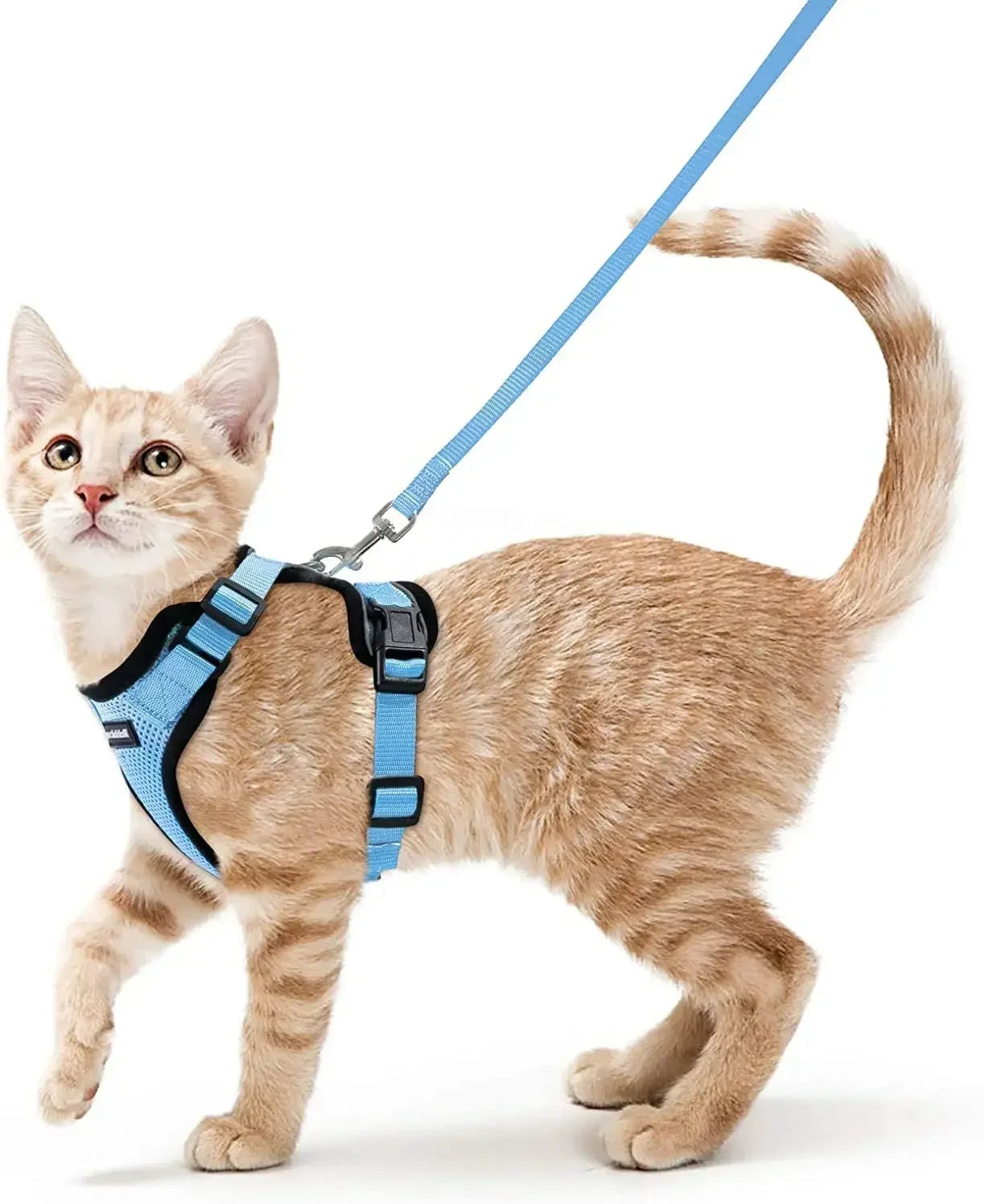 Escape-Proof Cat Harness & Leash Set