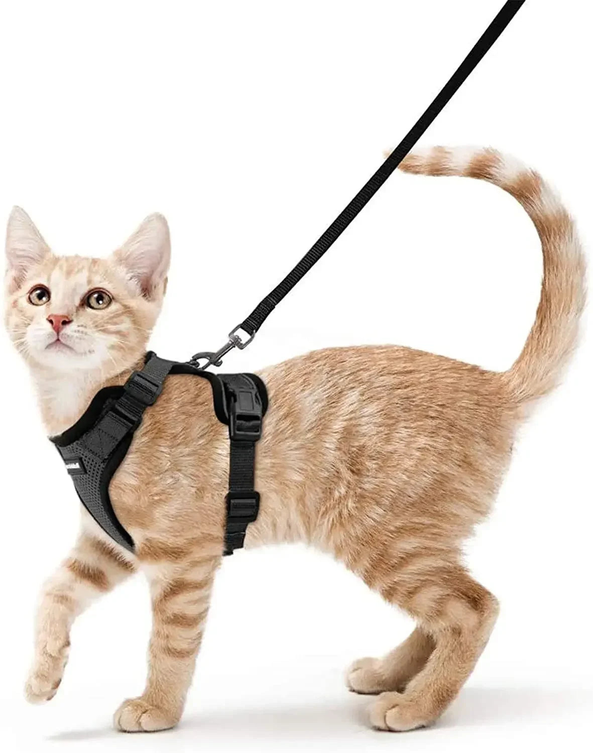 Escape-Proof Cat Harness & Leash Set