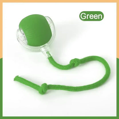 Interactive Rolling Tail Ball for Cats